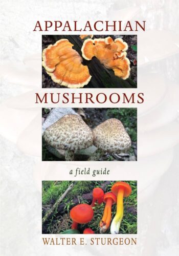 Lunch With Books Explores ‘Appalachian Mushrooms’